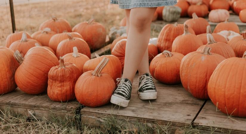 Goodstuff horoszkóp – 2025. október 29. (Szerda)