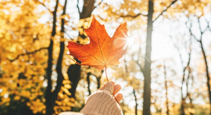 Ilyen lesz a holnapi időjárás – Fátyolfelhők szűrte napsütés várható