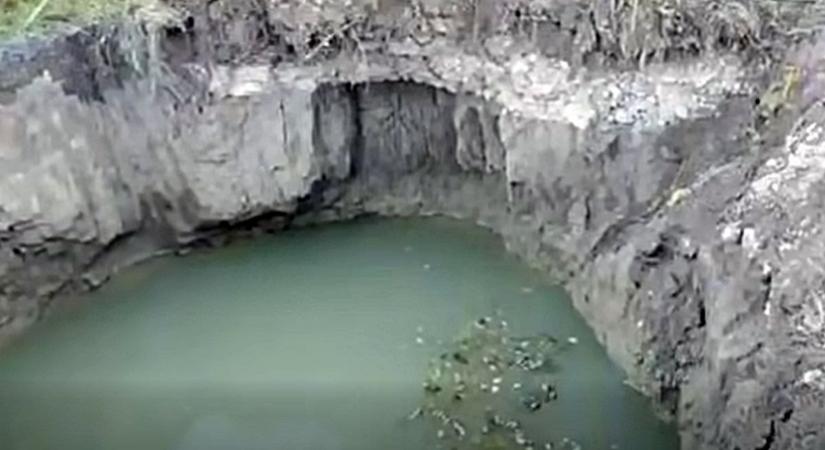 Dráma a Bakonyban: kutyasétáltatás közben került életveszélyes helyzetbe egy kamaszlány - videó