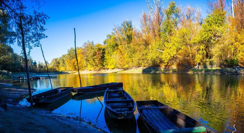 Jól érzik magukat a halak a Dunában – ritka fajokat is találtak