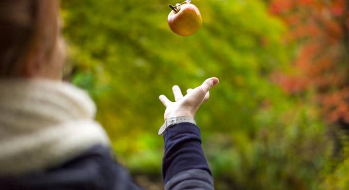 Csak az emberek 5%-a találja meg a képen az almát. Te köztük vagy?