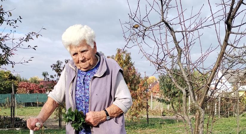 Ásó, kapa, gereblye 146. - „Előttem sosem volt lehetetlen”