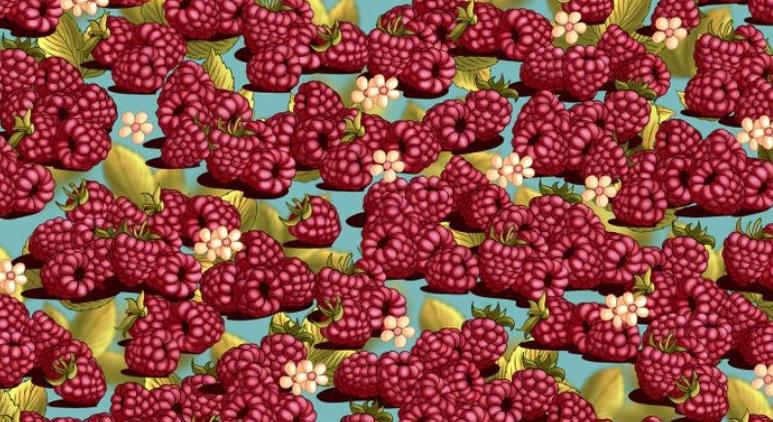 Optikai illúzió: tökéletes a látása, ha felfedezi, mi nem illik a képre