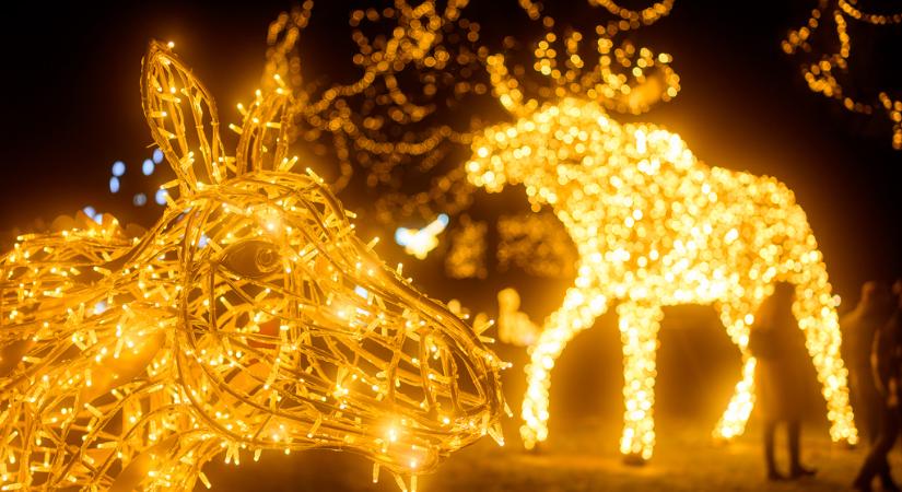 Különös fényállatok bukkannak fel a Bagolyvár Vadasparkban