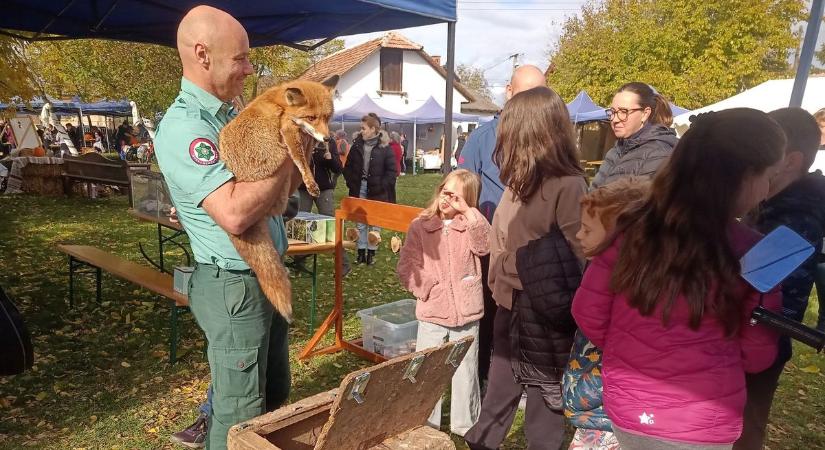 „Tök jó délután” Mezőcsáton – Természetvédelem és élmények a Bükki Nemzeti Parkkal