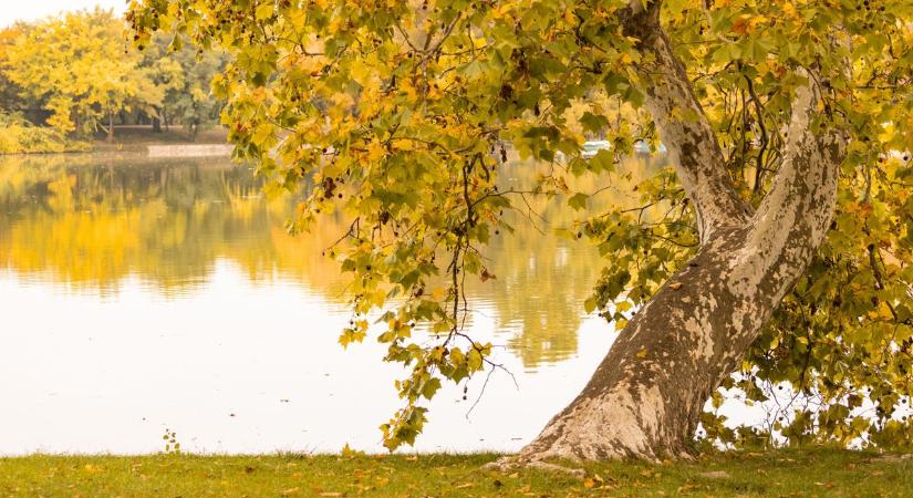 Egy kis szeszélyesség a hét közepén: ilyen lesz nálunk a szerdai időjárás