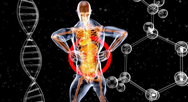 A hosszú élet üzlete: új iparág születik