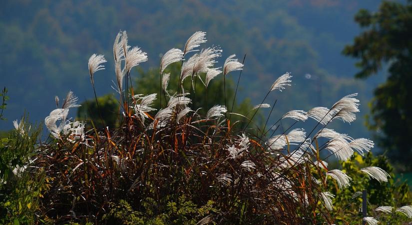 Nem ezt vártuk: bezavar egy front a hét időjárásába
