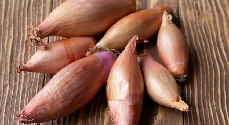 Többet termő és jobban tárolható hagymák