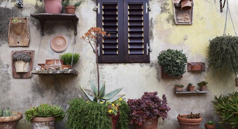 Vertikális kertek: maximalizáljuk a növényborítottságot!