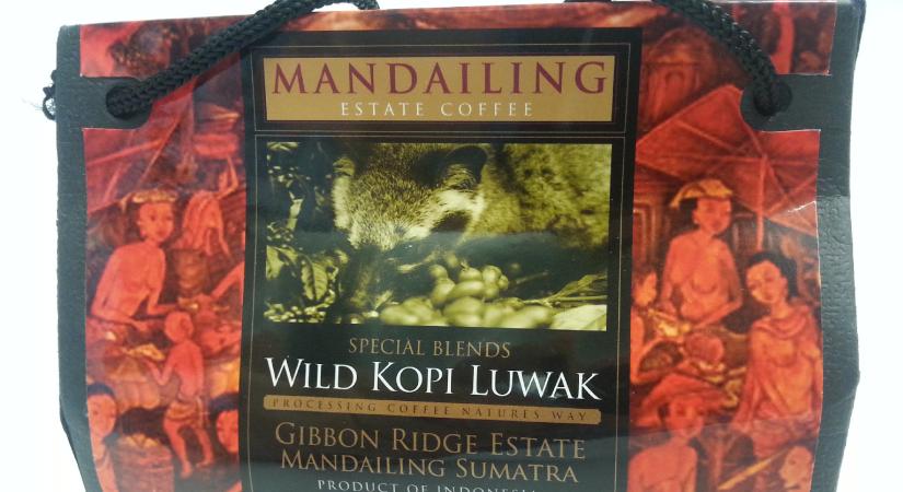 Megfejtették a cibetmacskák ürülékéből gyűjtött kávé titkát