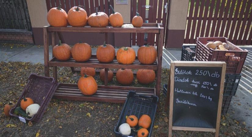 Ahol van még becsület