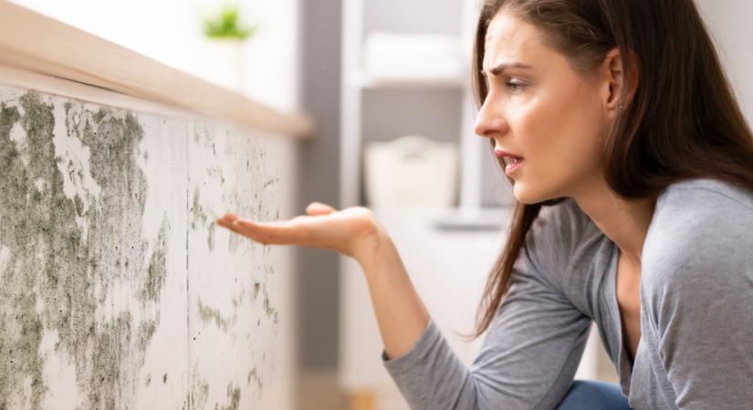 Vigyázz! Ha ezt a 3 hibát elköveted ősszel, penészes lesz az otthonod!