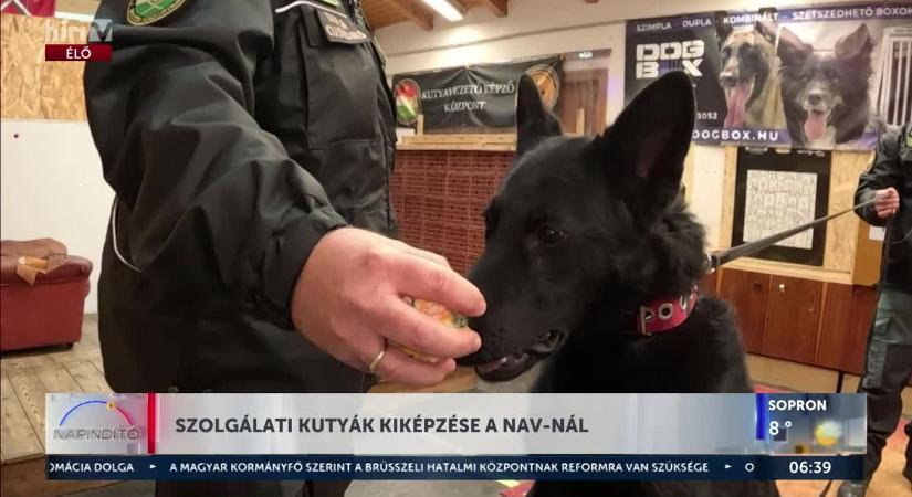 A NAV négylábú szuperegysége – Így képzik a Vám- és Pénzügyőrség kutyáit!  videó