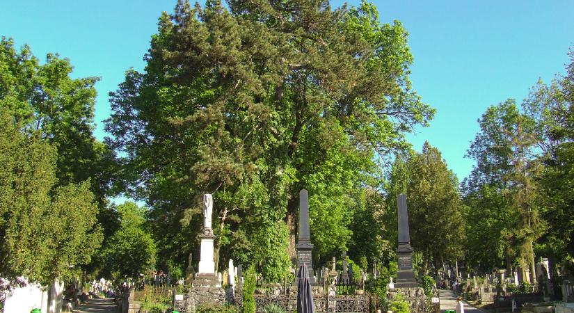 A csend, ami beszél