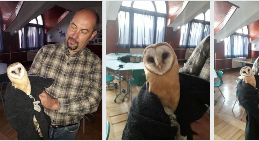 Százmillió ide is, oda is – Tállya és Szemere a két nyertes