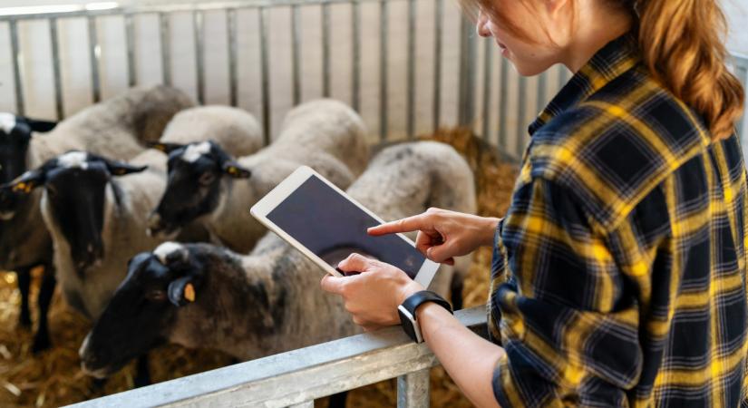 Ami most történik, az alapjaiban írhatja át a hazai állattenyésztést is