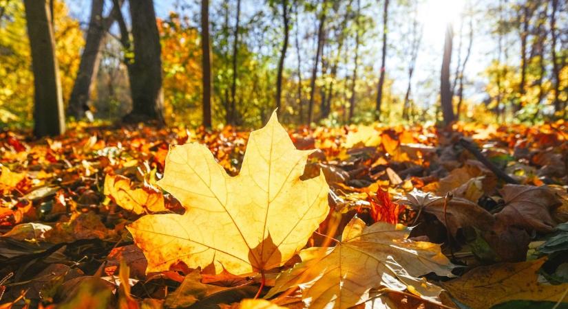 Szinte hihetetlen meleg jön – 20 fok is lehet szerda délután