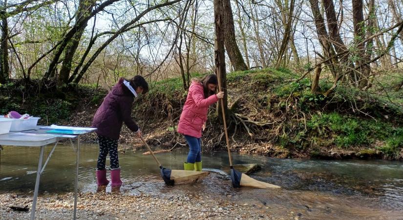 Dél-vasi csapat az országos döntőben!