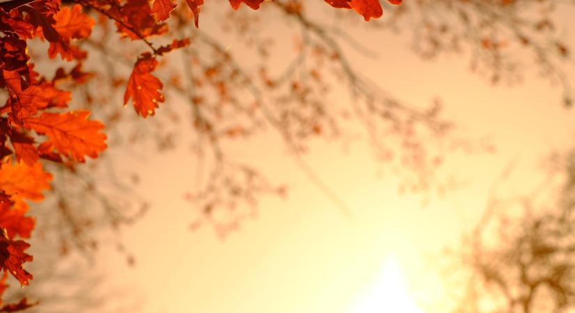 Őszi napos idő, várható estétől erősödő széllel