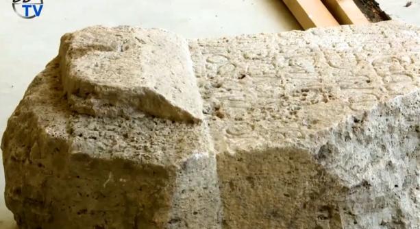 DSTV: egy orvos oltára a múzeumban