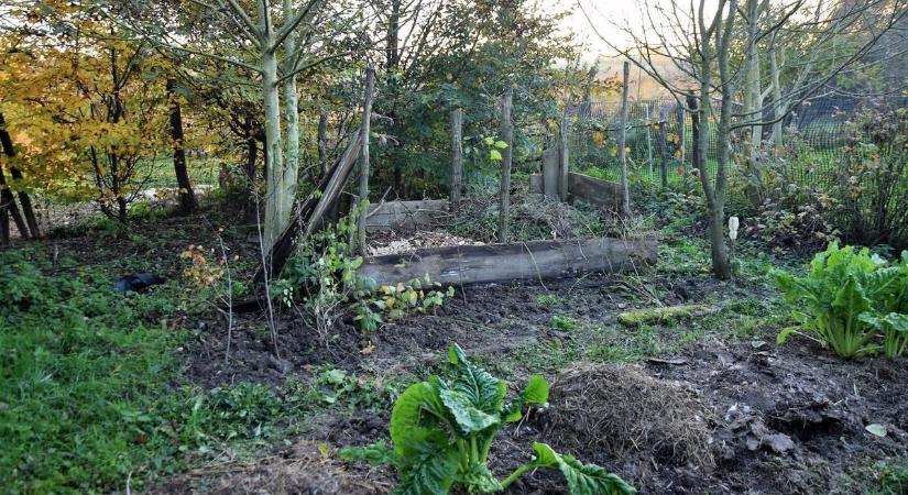 A kerted és a tűzoltók is hálásak lesznek, ha ezt teszed!