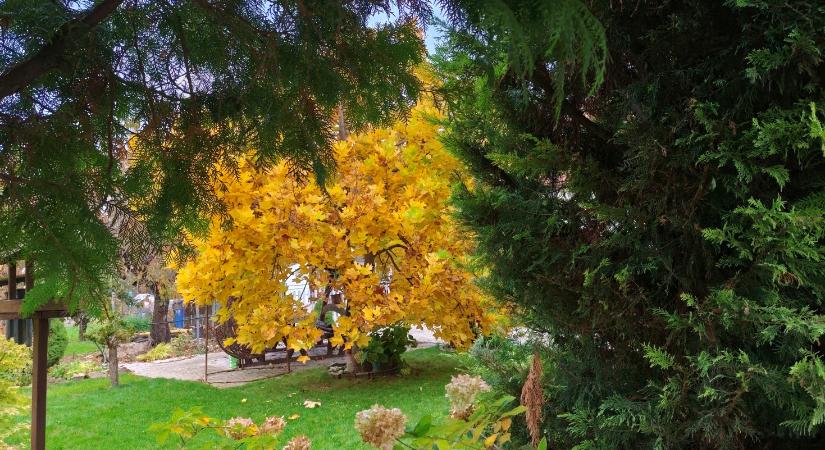 Marad az enyhe őszi idő, szerdán 18 fok is lehet