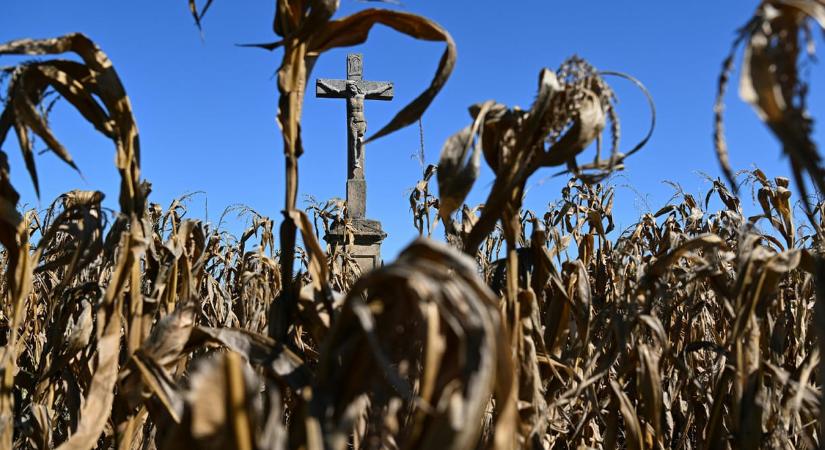 600 milliárd forintos is lehet a mezőgazdaság idei aszálykára