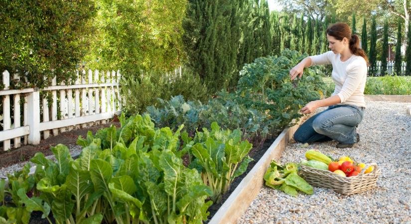 Egyre több ilyen kert van nálunk is: sokan már tudják, megéri belevágni