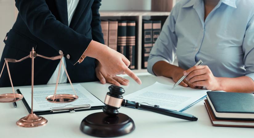 Newcomers, new legal roles: trainer of legal project managers