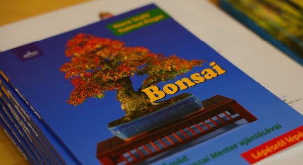 Elmúlt a nyár, remek pályaművek születtek