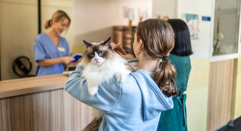 Rendkívül tanulságos, hogyan gondolkodnak olvasóink a mikrochip-kérdésről