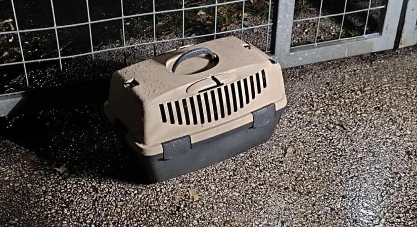 A vihar tombolt, ők pedig magukra maradtak a dobozban – pár percen múlt az életük