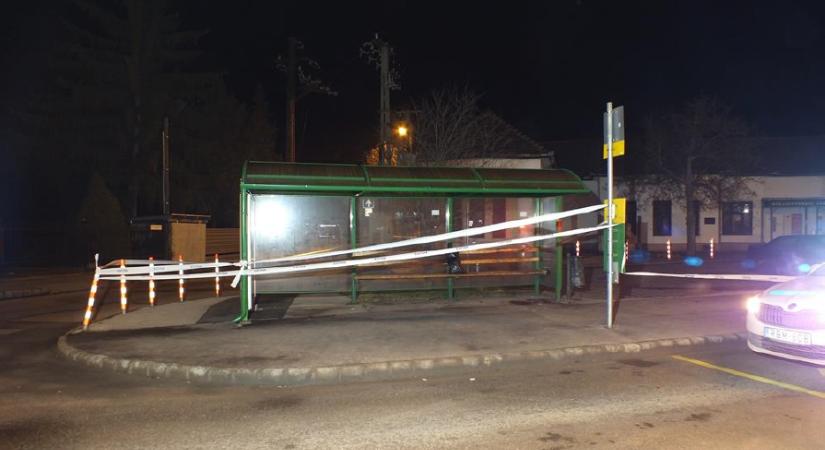 Vadásztőrrel mellkason szúrta és a buszmegállóban hagyta élettársa fiát, mert az nem fizetett lakbért