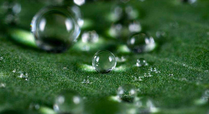 A gazdákat segíti a magyar találmány: csak ki kell permetezni