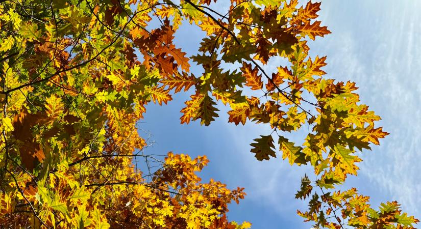 Napsütéssel és jó idővel a hétvégébe