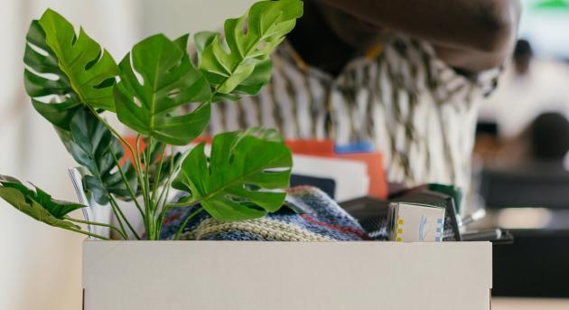 14 ezer emberrel könnyíti szervezetét az Amazon