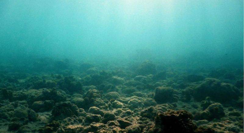 Eltűntek a bitcoin-bálnák az októberi likvidációt követően: ez lehet az oka