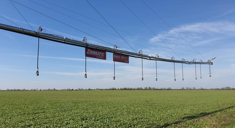 Öntözés nélkül nincs jövő – 10 ok, amiért érdemes beruházni