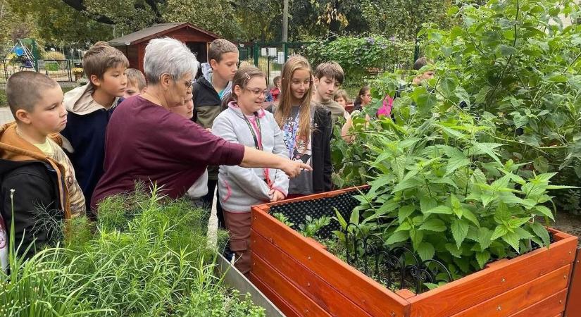 Országos elismerést nyert a Vénkerti Közösségi Kert