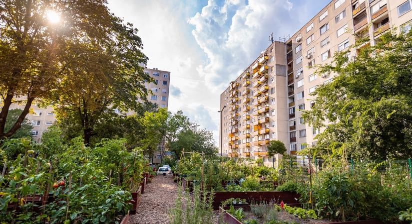 Ez lett Magyarország legszebb konyhakertje