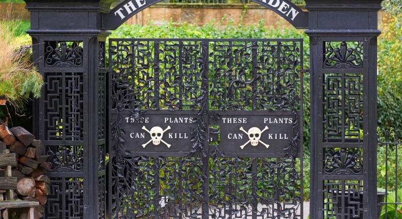 Gyilkos elegancia: Alnwick Poison Garden – így néz ki a világ legmérgezőbb kertje