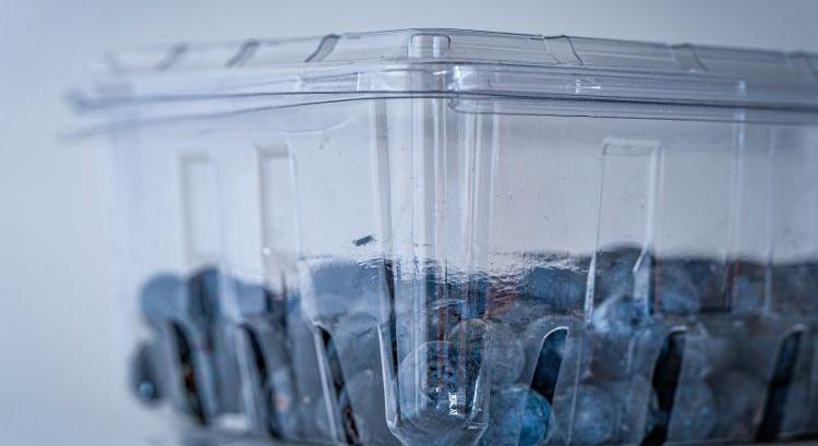 Még egy hónapig tart az áfonyabőség, aztán vége