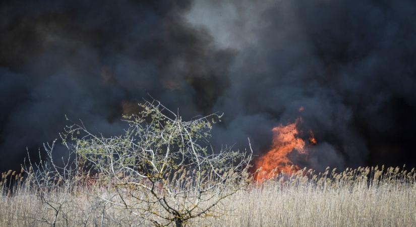 Nagy területen tombolt a tűz Hódmezővásárhelyen