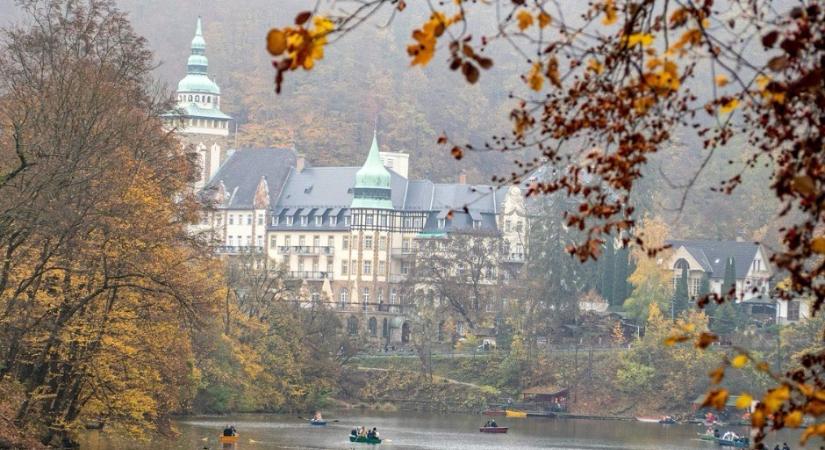 A világ legjobb úti céljai közé került Miskolc Dubajban, a bükki Ehető Erdő a világsiker útján