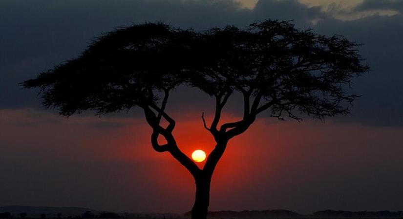 Nyolc magyar állampolgárságú áldozata is van a kenyai légikatasztrófának