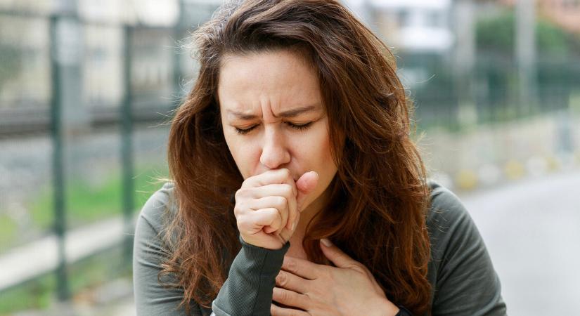 Ijesztő, hányan halnak meg a rossz levegő miatt itthon – Így lehetne megelőzni a bajt