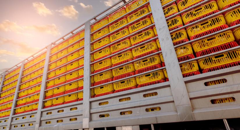 Csak külföldi árut veszünk? Nagyot esett a külkereskedelmi többlet