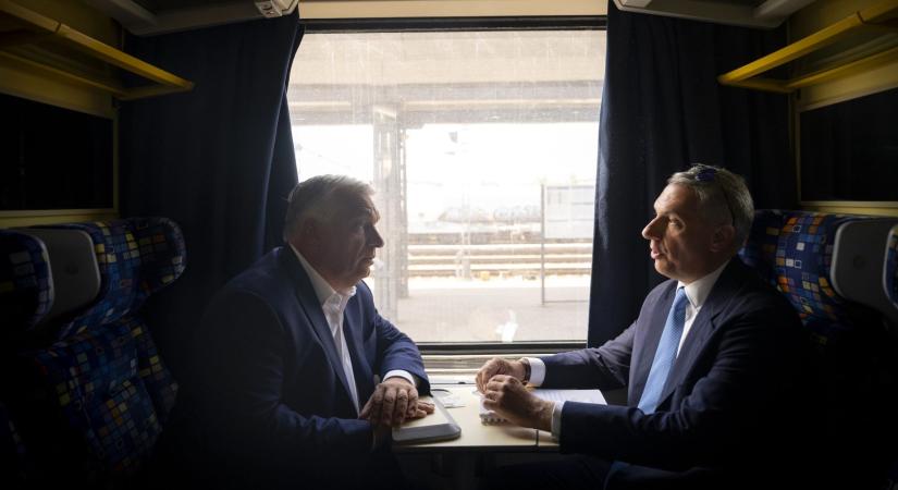 Működő politikusokat!