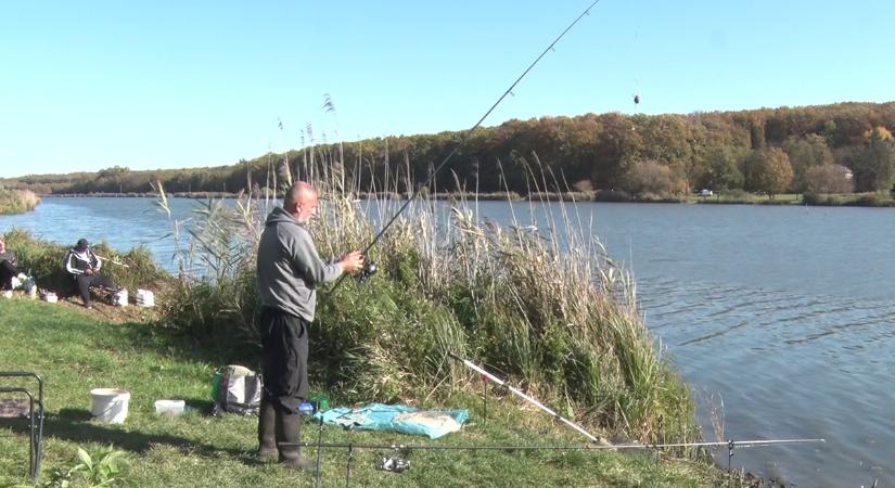 Idén már a hatodik telepítés zajlott a Csó-tónál